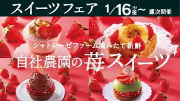 シャトレーゼの魅力とは？スイーツ、ワイン、YATSUDOKI…全部紹介！シャトレーゼのおいしさの秘密～バラエティ豊かな商品とワインへのこだわり