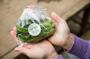 食の世界遺産゛初認定 土気からし菜 千葉市緑区