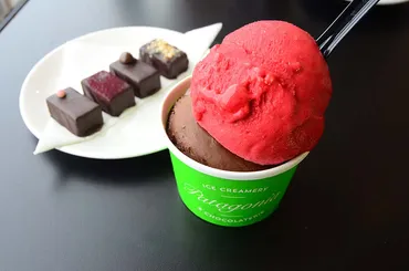 並んでも食べたい！クィーンズタウン名物のアイスとハンバーガー【ニュージーランド#5】