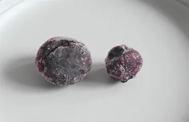 業務スーパーの冷凍ブルーベリーがコスパ最高!アレンジレシピ5選