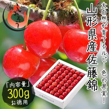 佐藤錦の魅力とは？旬の味覚を堪能する方法を徹底解説！山形県産「佐藤錦」の魅力と、その入手方法、ふるさと納税情報