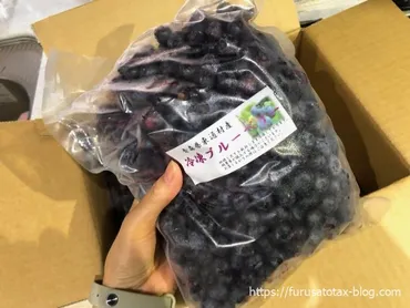 青森県東通村産冷凍ブルーベリー2kg(1万円)は美味しい？レビューから徹底分析？東通村の恵み、大粒で甘い冷凍ブルーベリーの魅力