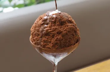 東京・日本橋浜町】ふんわりとろける゛大人のチョコレートかき氷゛「nel CRAFT CHOCOLATE TOKYO(ネル クラフト チョコレート トーキョー)」