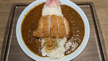 新宿】「スパイスファクトリー 新宿東口店」の「ロースかつのせコク旨カレー&スパイスカレー」 ワンコインでたべれるモーニングも人気のカレー店【ランチ】