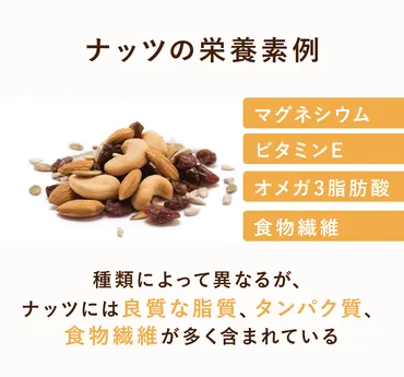 目的に合わせてナッツで手軽に栄養補給しよう!【小島屋】