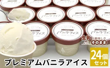 マダガスカル産 バニラビーンズ香る バニラアイスクリーム 24個 80ml 生乳 牛乳 ミルク スイーツ アイスクリーム バニラビーンズ 12000円 プレミアム バニラアイス デザート