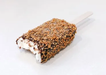 サタプラ】「チョコバニラアイス」ひたすら試してランキング ベスト5(2024/8/10)