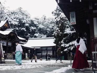 三輪そうめんの魅力とは？歴史と製法、他産地との比較を通してその奥深さに迫る！日本最古のそうめん、三輪そうめんの秘密