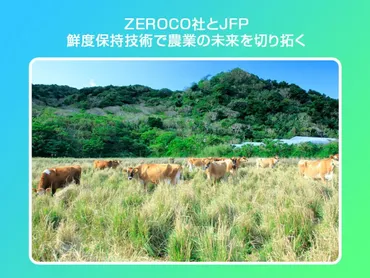 ZEROCO社とJFPが鮮度保持技術で農業の未来を切り拓く