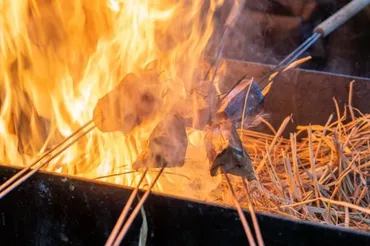 藁焼きカツオとは？鰹のたたきとの違いやレシピ・食べ方を解説