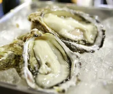 究極」の逸品、白いカキフライ ふっくら・ジューシー、広島県内４店に登場【動画】 