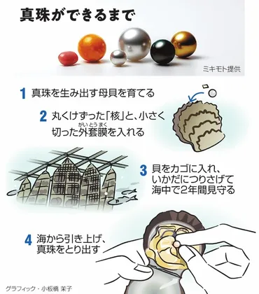 真珠はどうやってできるの？：朝日新聞