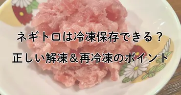 ネギトロは冷凍保存できる？正しい解凍＆再冷凍のポイント 