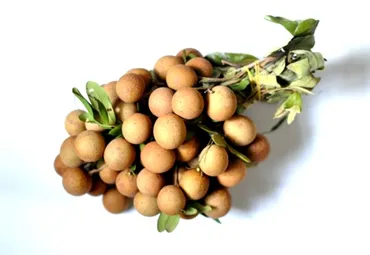 リュウガン / Nhãn 