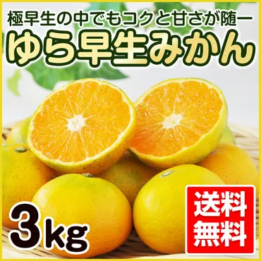 ゆらわせみかんや柑橘販売の現状は？旬の果実を楽しむための情報まとめ！柑橘販売の現状と、知っておきたい旬の情報