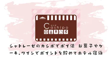 シャトレーゼの魅力とは？お得なポイントや期間限定スイーツを紹介！(？)シャトレーゼの最新情報：チョコバッキーケーキ、どら焼き、ギフト