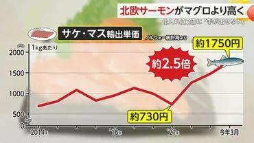 北欧サーモンの価格高騰が止まらない！マグロより高値で「手が出せない」ロシア領空を飛行できない情勢が影響か
