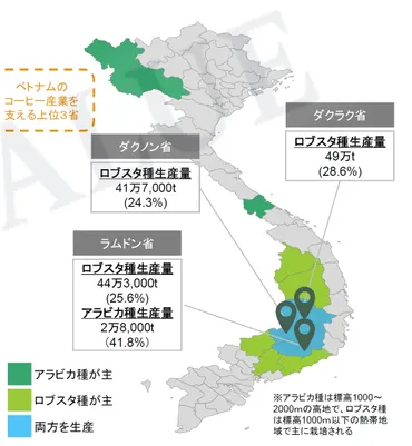 ベトナムコーヒー最前線＜コーヒー生産世界２位＞ Part.1 – FLATWHITE COFFEE FACTORY