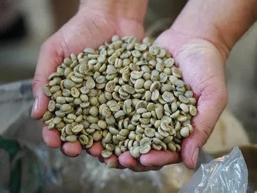 品質向上で注目度が高まる「ベトナム」 −コーヒーベルト・コレクション− 