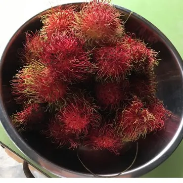 ランブータンってどんなフルーツ？特徴や栄養、食べ方を徹底解説！(？)ランブータンの魅力！種類、旬、栄養価、レシピ、食べ方まで