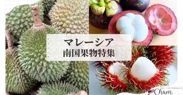 南国フルーツの一覧＆種類】マレーシアのトロピカルな果物特集 