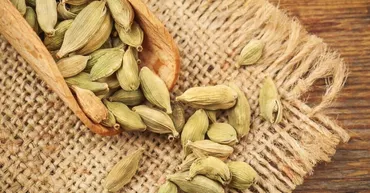 カルダモンとは？効果・効能やパウダー・ホールの使い方を紹介！ 