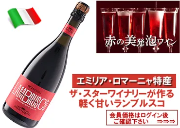 2021 メディチ・エルメーテ〈コンチェルト/ランブルスコ・レッジャーノ：セッコ〉【赤・微発泡】 