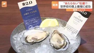 食あたりしない゛牡蠣 世界初「完全陸上養殖」で実現 世界展開も視野 