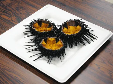 富山】世界最大級のウニ蓄養場 東京の事業者 朝日町に建設へ：北陸中日新聞Web