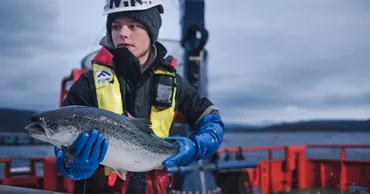陸上養殖サーモン事業、三菱商事とマルハニチロが富山県入善町で開始？富山県入善町で始まる陸上養殖サーモン事業とその可能性