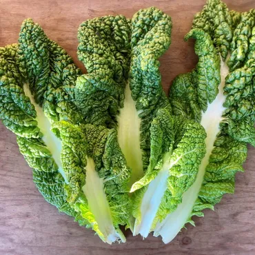 かつお菜とはどんなお野菜？食べ方やおすすめレシピをご紹介 – いのちのおやさい