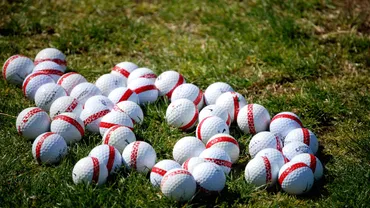 意外とおいしい!? アメリカの゛珍゛高収入ビジネス