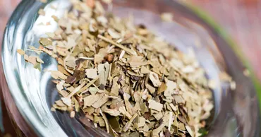 マテ茶の栄養を徹底解説