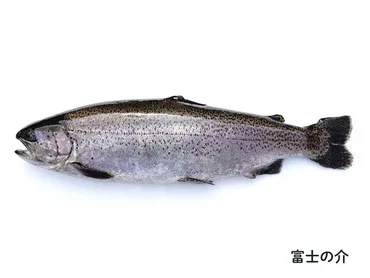 キングサーモン×ニジマス！山梨県オリジナルの魚「富士の介」 