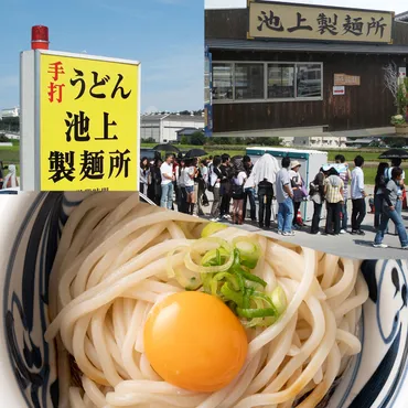 池上製麺所 さぬき釜玉うどん 〔麺300g(3食分)×1、だし醤油10ml×3〕: 産直お取り寄せＮセレクト Prime