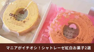 【シャトレーゼ】敬老の日に贈りたい！めでたい「紅白のお菓子」2選・ 