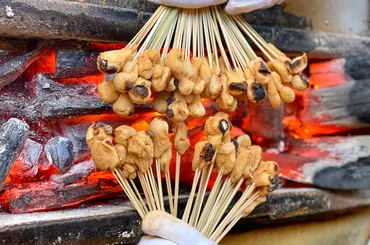 京都の今宮神社のあぶり餅！老舗「一和」と「かざりや」の違いは？歴史と伝統の味を比べてみた!!