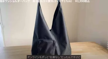 無印良品のおすすめ商品が知りたい？マニアが教える、人気アイテムと収納術とは？無印良品マニアが教える、収納、バッグ、ケース、整理術