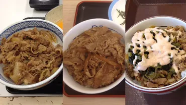 牛丼屋の違いを知ろう！吉野家/松屋/すき家の特長を比較！牛屋JP