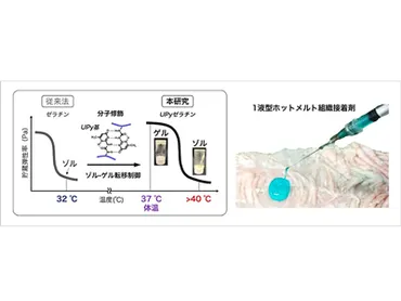 温めて塗る」だけで術後癒着を予防可能な医療用接着剤を開発－NIMS 