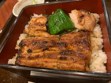 ぎんざ神田川で、鰻キジ重ランチ。鰻とキジの両方食べられて超良い！ / 東京 銀座 1870年創業 (明治3年) 