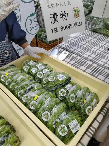 千葉・あすみが丘で土気地区300年の伝統野菜「土気からし菜」販売会 漬物も