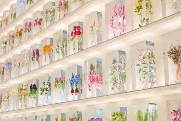 ディオールと日本の美意識が共鳴、代官山に「ディオール バンブー パビリオン」がオープン