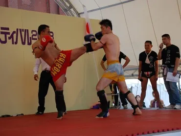 タイフェス巡りの記録：2008年から2010年、横浜、代々木、名古屋でのタイ料理と文化体験を振り返る？タイフェスティバル：横浜、代々木、名古屋で開催されたイベントの記録とグルメレポート