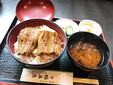 大阪北浜の老舗鰻店「阿み彦」の魅力とは？創業380年、秘伝のタレと炭火焼きの鰻