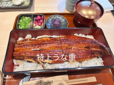 特上うな重と上の違いを徹底解説】うなぎ料理の魅力と選び方ガイド