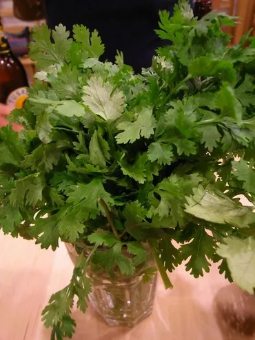 8月9日はパクチーの日 ~パクチー祭り@paxi house tokyo』東京 ...