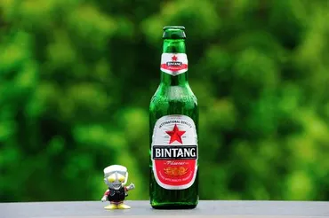 ビンタンビール入門！世界中で愛されるインドネシアの星(？)爽快！ビンタンビールの魅力を徹底解説