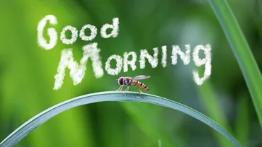 おはようの中国語は注意⁉】早？早安？早上好？【台湾と中国の ...