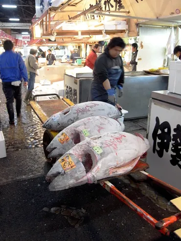 築地市場の魅力とは？食文化とコミュニティを支える秘密を探る旅(？)築地市場の歴史、食文化、そして人々の絆